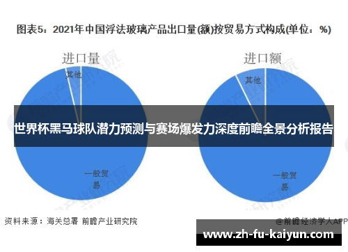 世界杯黑马球队潜力预测与赛场爆发力深度前瞻全景分析报告