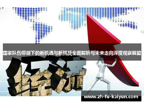 国家队伤停潮下的新机遇与新挑战全面解析与未来走向深度观察展望 国家队伤停潮下的新机遇与新挑战全面解析与未来走向深度观察展望